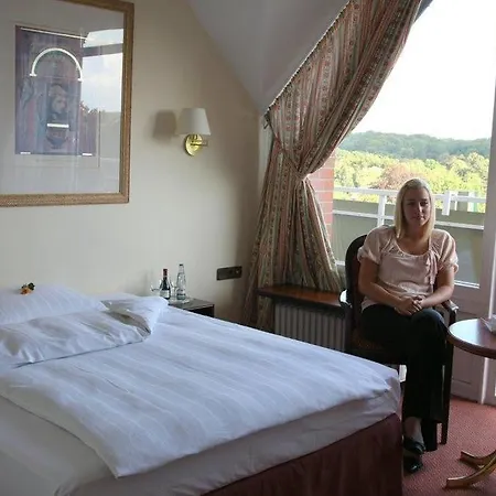 Отель Sachsenwald Райнбек