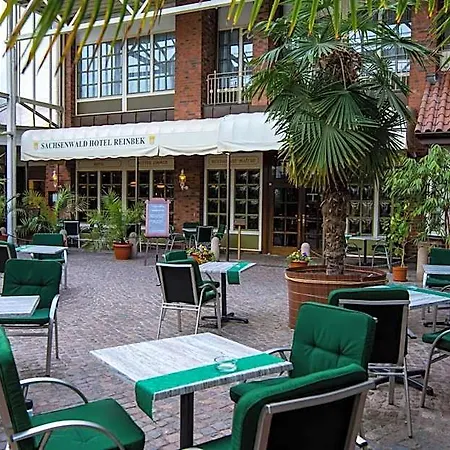 Sachsenwald 4*