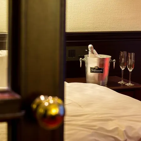 Hotel Sachsenwald 4*